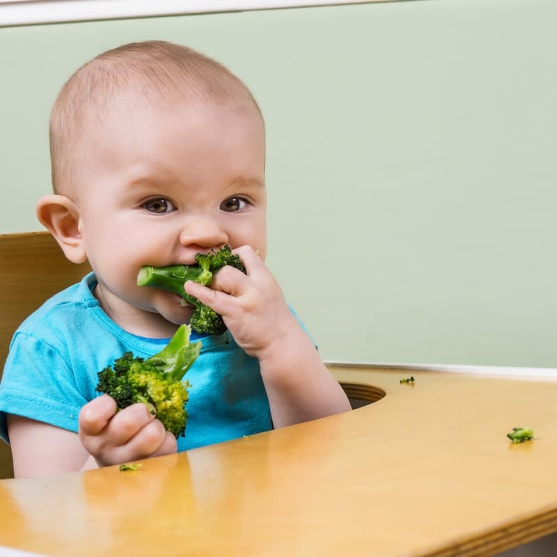 baby sitting in a high chair eating broccoli florets