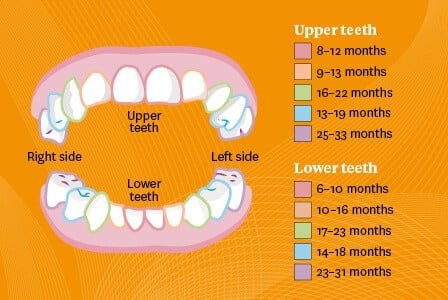 Baby teething hot sale food