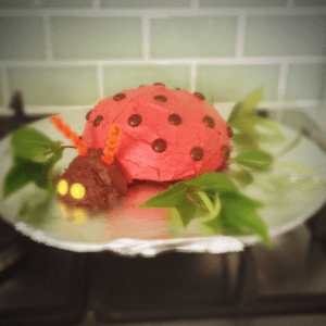 a healthy kid birthday cake, a ladybird cupcake
