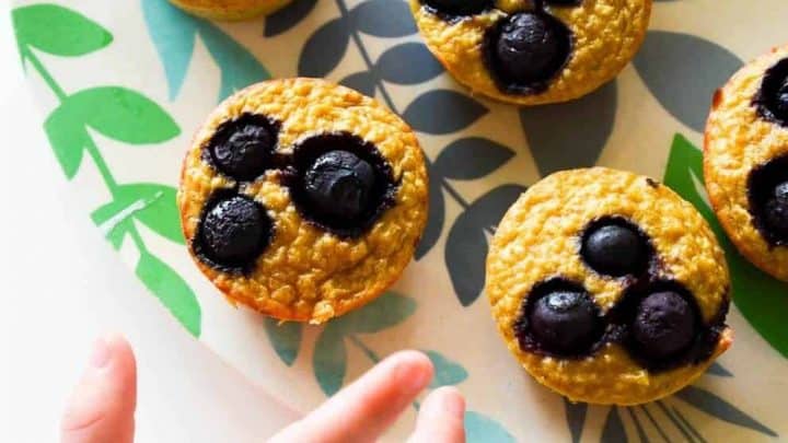 https://mykidslickthebowl.com/wp-content/uploads/2017/02/blueberry-banana-pancake-muffins-5-of-6-1-e1511123744742-720x405.jpg