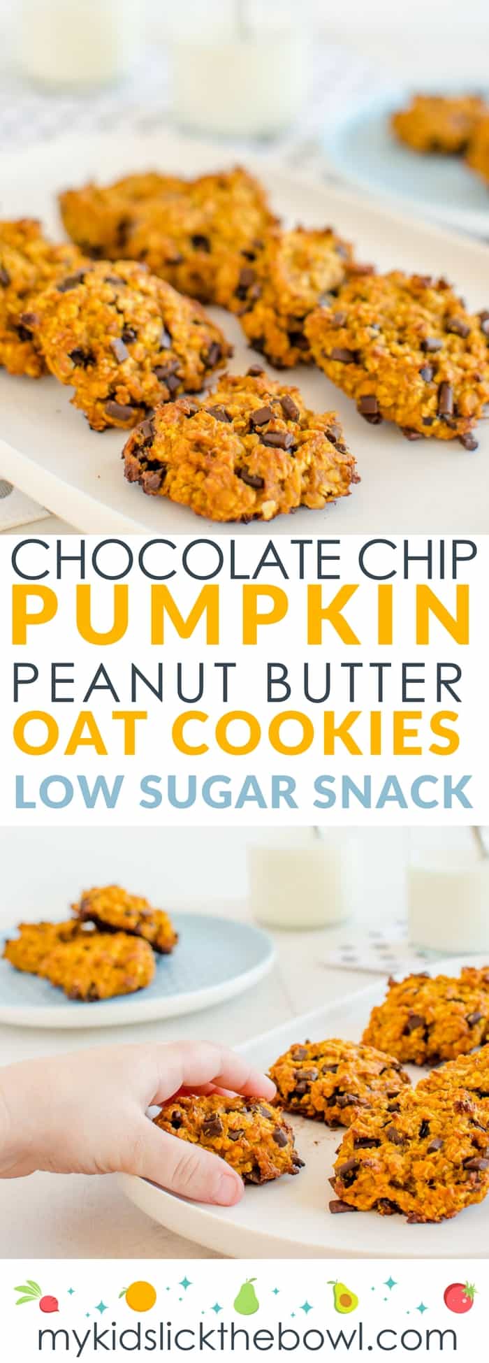 choc chip pumpkin peanut butter oat cookie, low sugar snack for kids, easy recipe, soft chewy style cookie