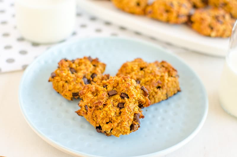 choc chip pumpkin peanut butter oat cookie, low sugar snack for kids, easy recipe, soft chewy style cookie