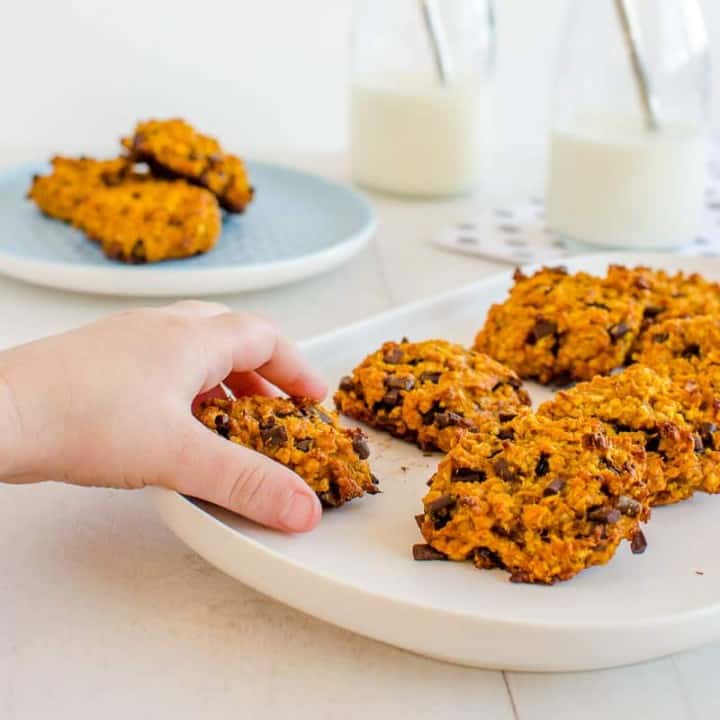 choc chip pumpkin peanut butter oat cookie, low siugar snack for kids, easy recipe, soft chewy style cookie