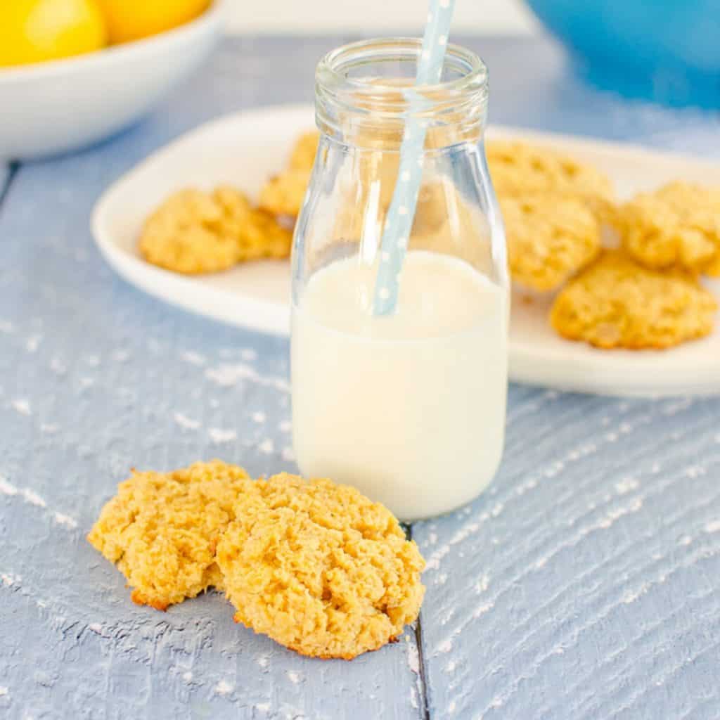 Healthy Cookies for Kids | Low Sugar Easy Recipes