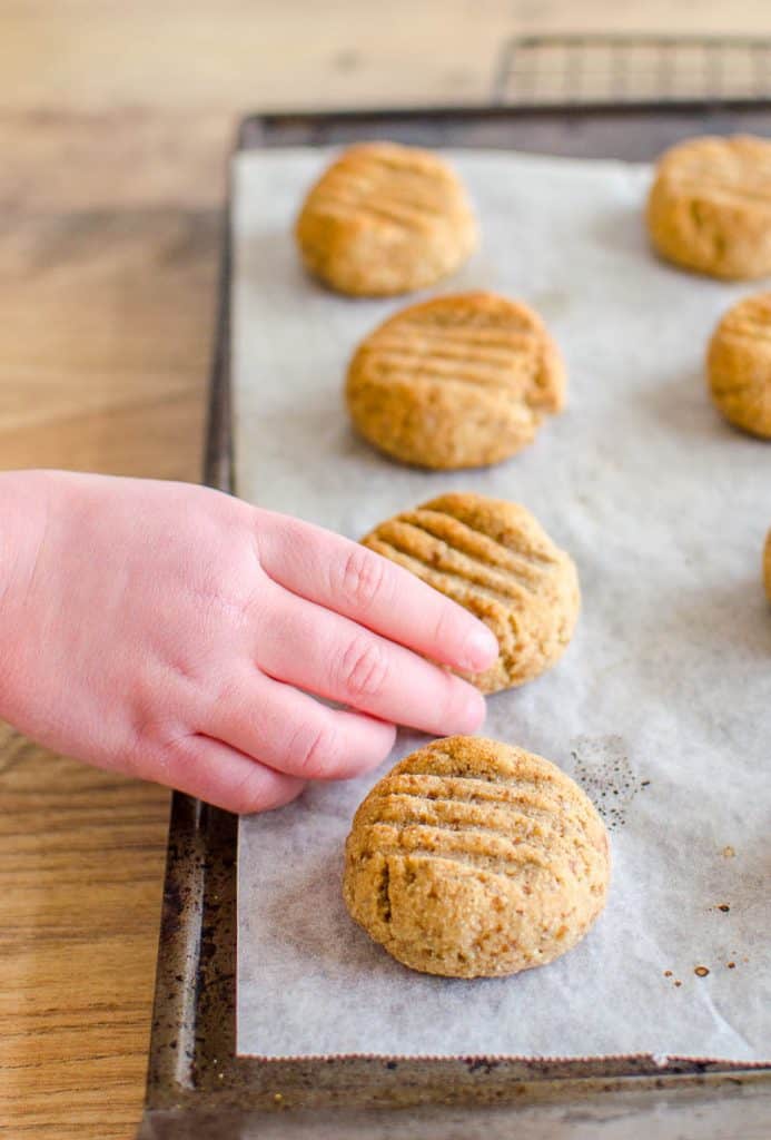 The Ultimate Allergy Friendly Cookies Free From Dairy, Gluten, Egg