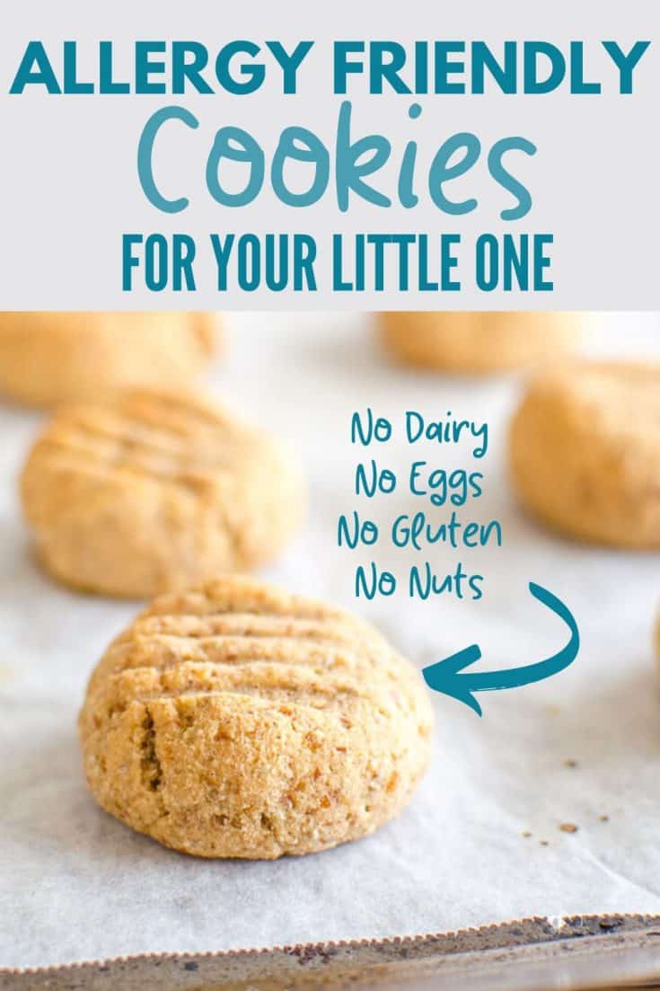 Ultimate Allergy Friendly Cookies - My Kids Lick The Bowl
