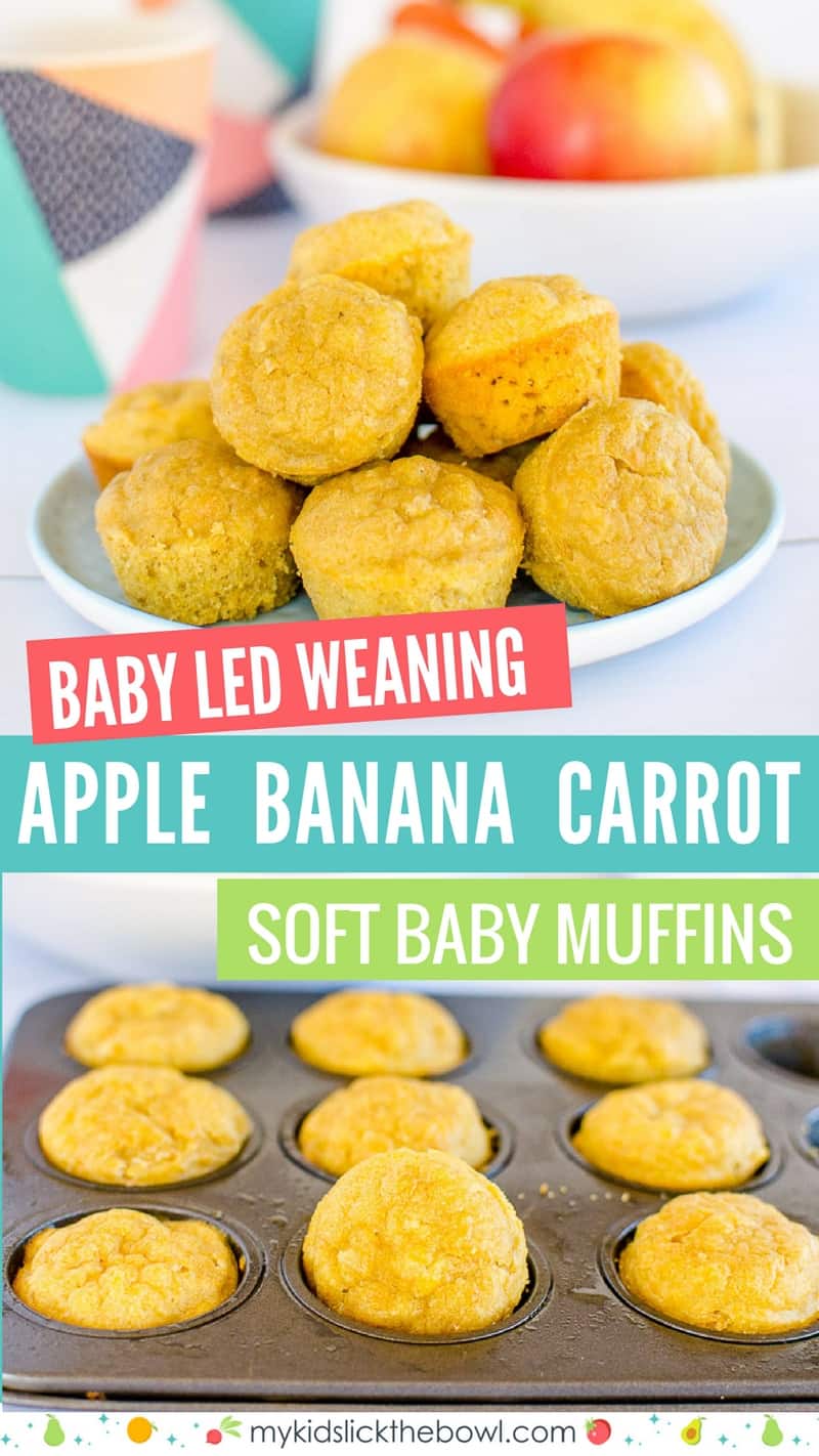 Baby Led Weaning Muffins - Sugar Free - Apple Banana Carrot