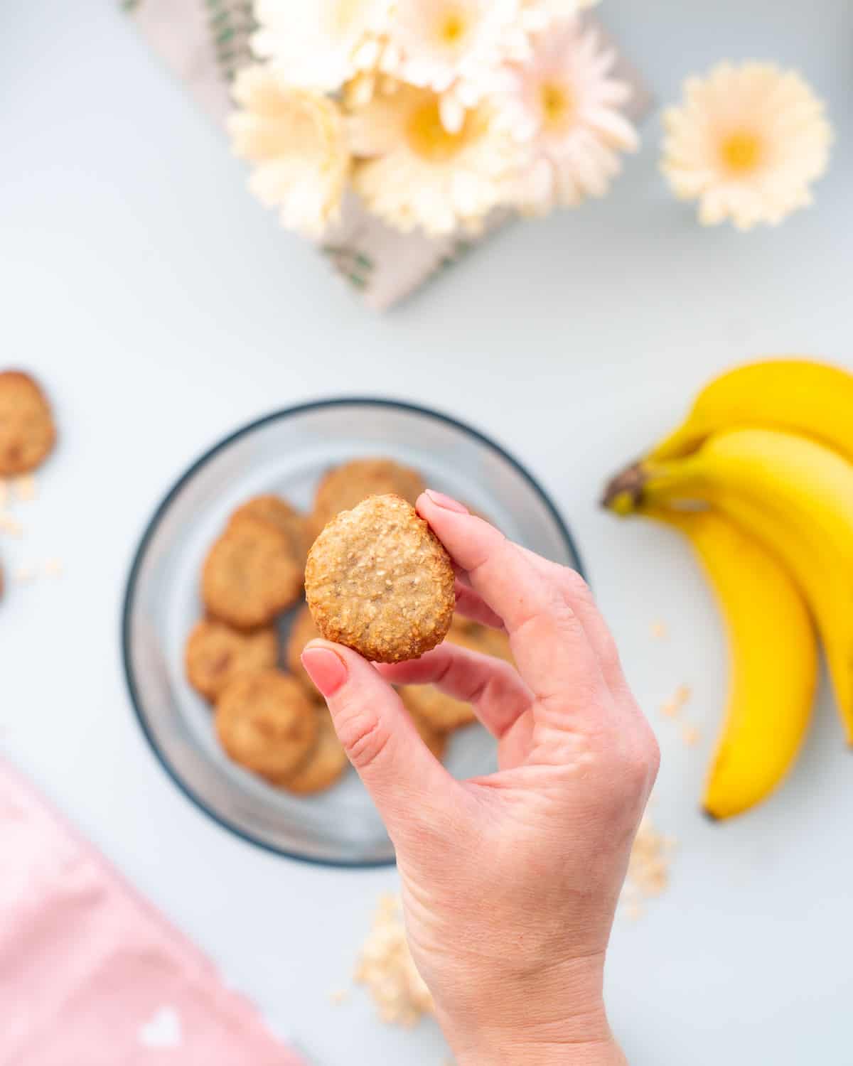 A hand holding a small cookie above a round glass container full of oatmeal cookies on a bench next to a bunch of bananas.