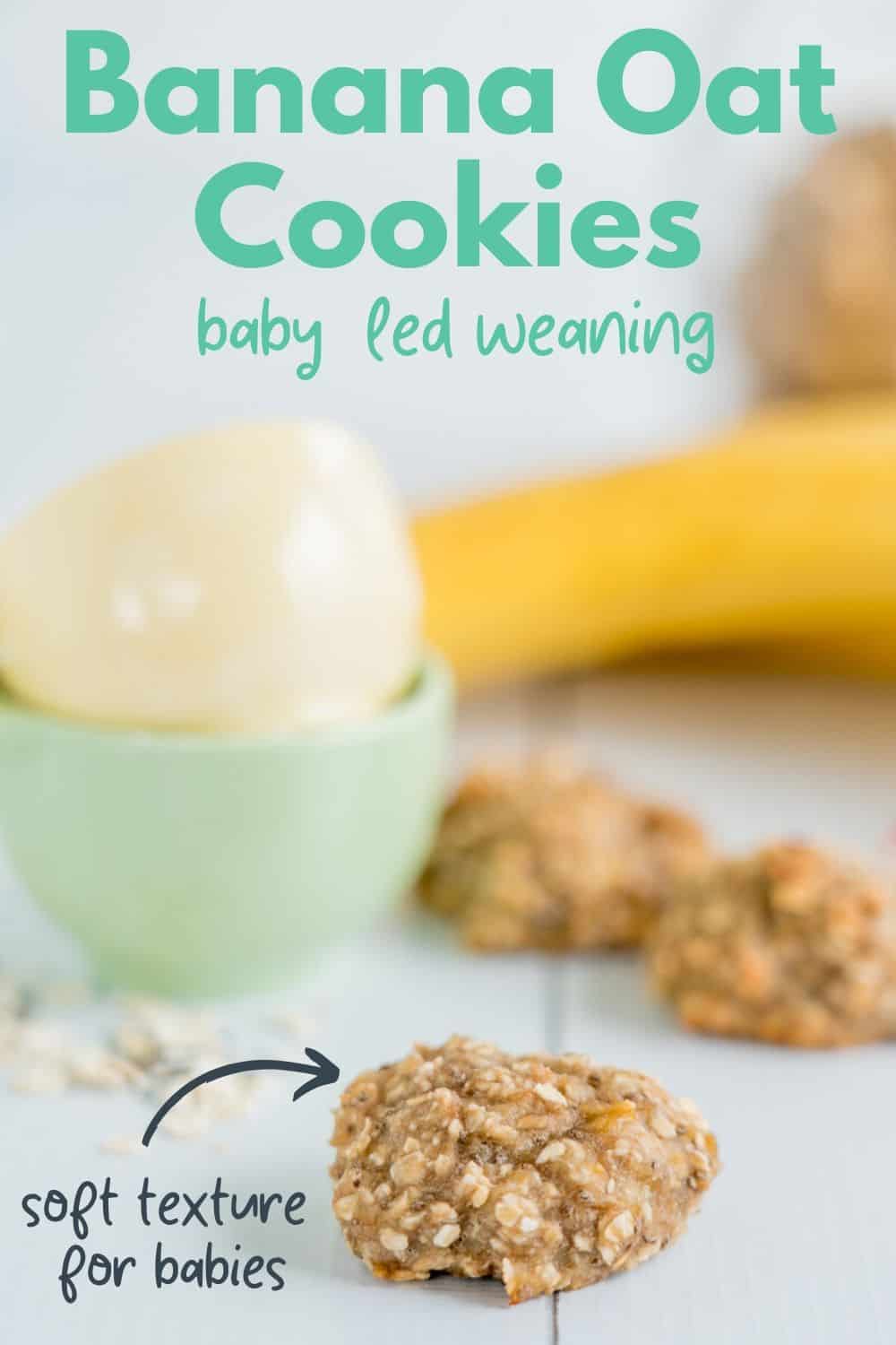 Basic Banana Oat Baby Cookies - Baby Led Weaning