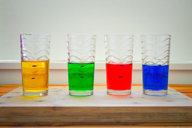 four glasses with coloured water
