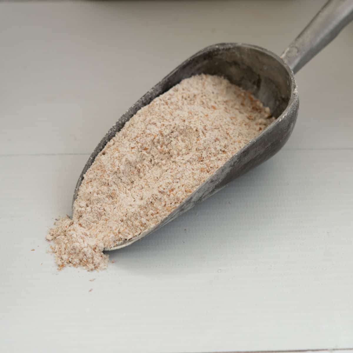 scoop of wholemeal flour, showing the coarse texture