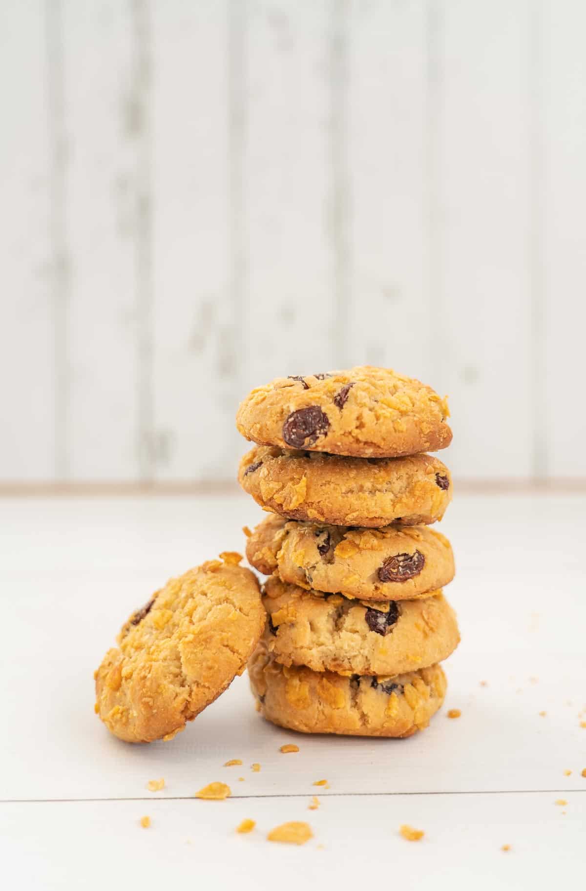 stack of 5 cornflake  on a white background, raisins visible, cornflake crumbs in the foreground