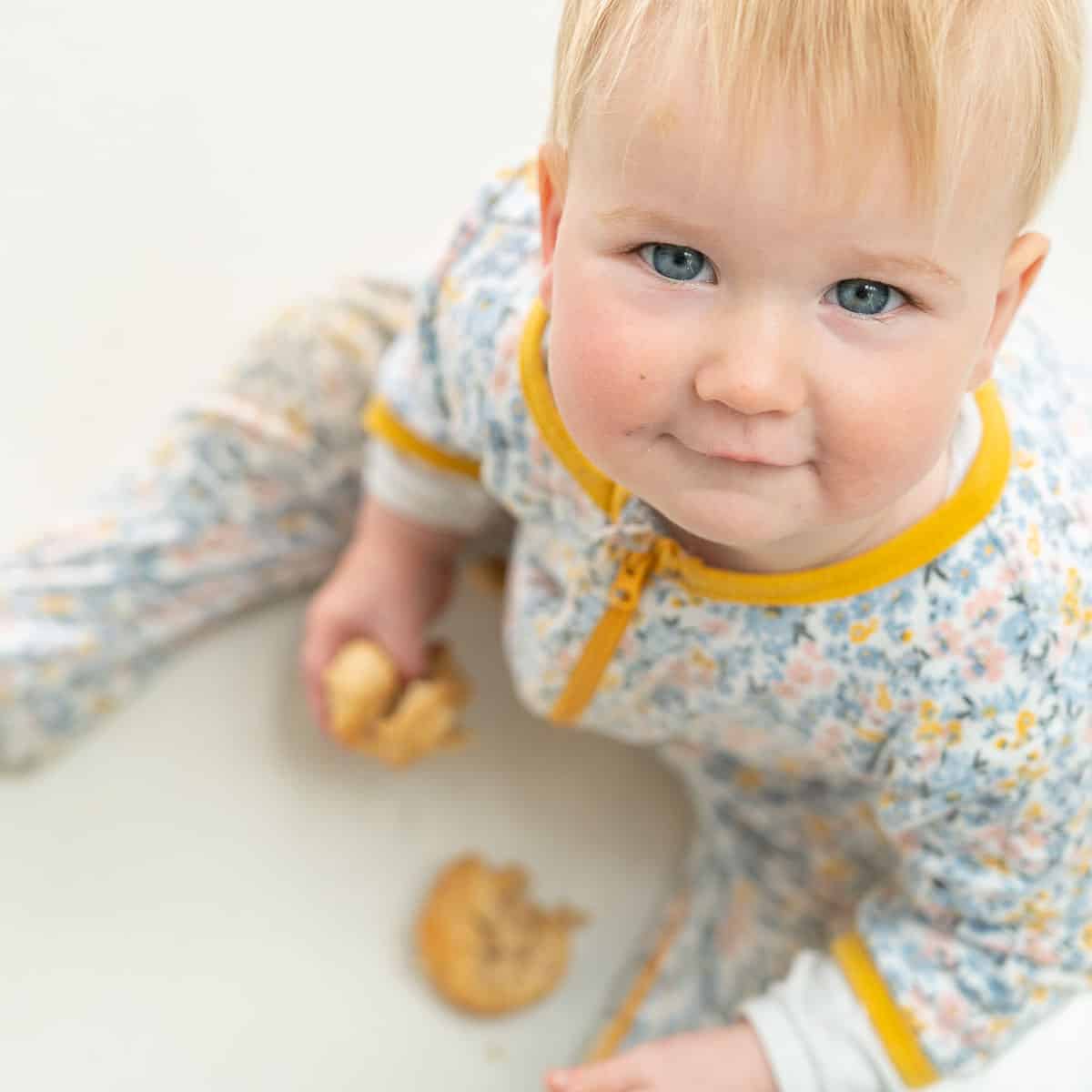 baby sitting on the floor eating a muffin