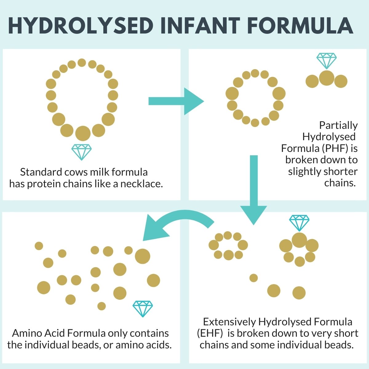 infographic demonstrating the degree of of protein hydrolysation using necklaces, bracelets and beads to illustrate