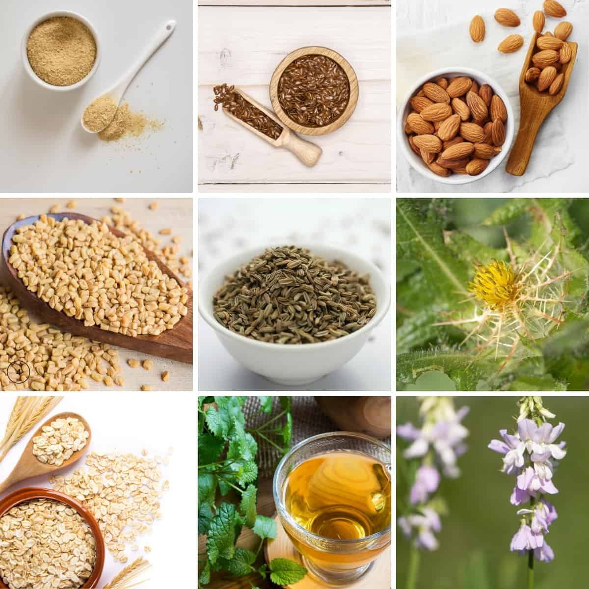8 photo collage of natural galactagogues: Oats, goats rue, flax seed, almonds, fenugreek, fennel. brewers yeast, lemon balm, blessed thistle