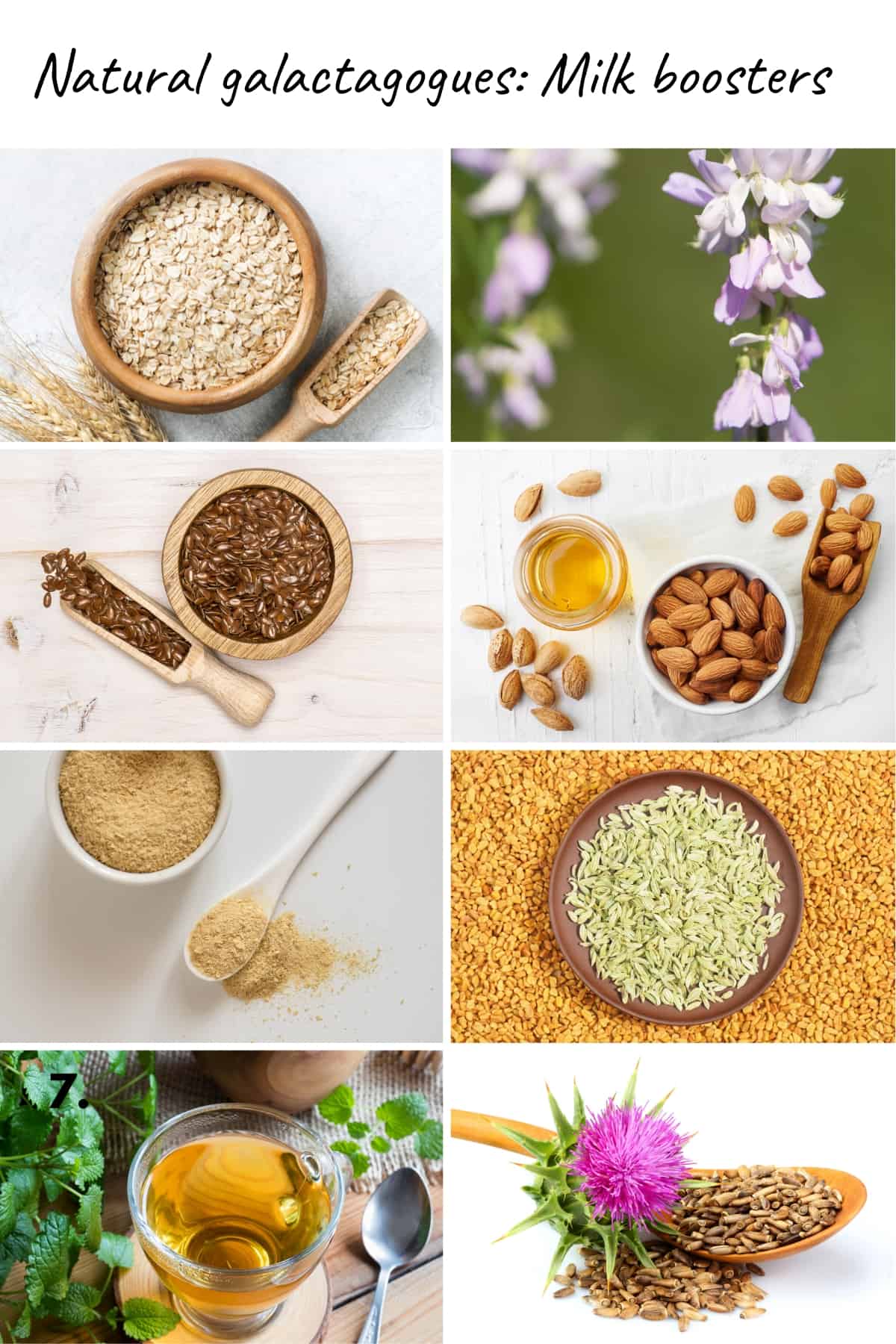 8 photo collage of natural galactagogues: Oats, goats rue, flax seed, almonds, fenugreek, fennel. brewers yeast, lemon balm, milk thistle