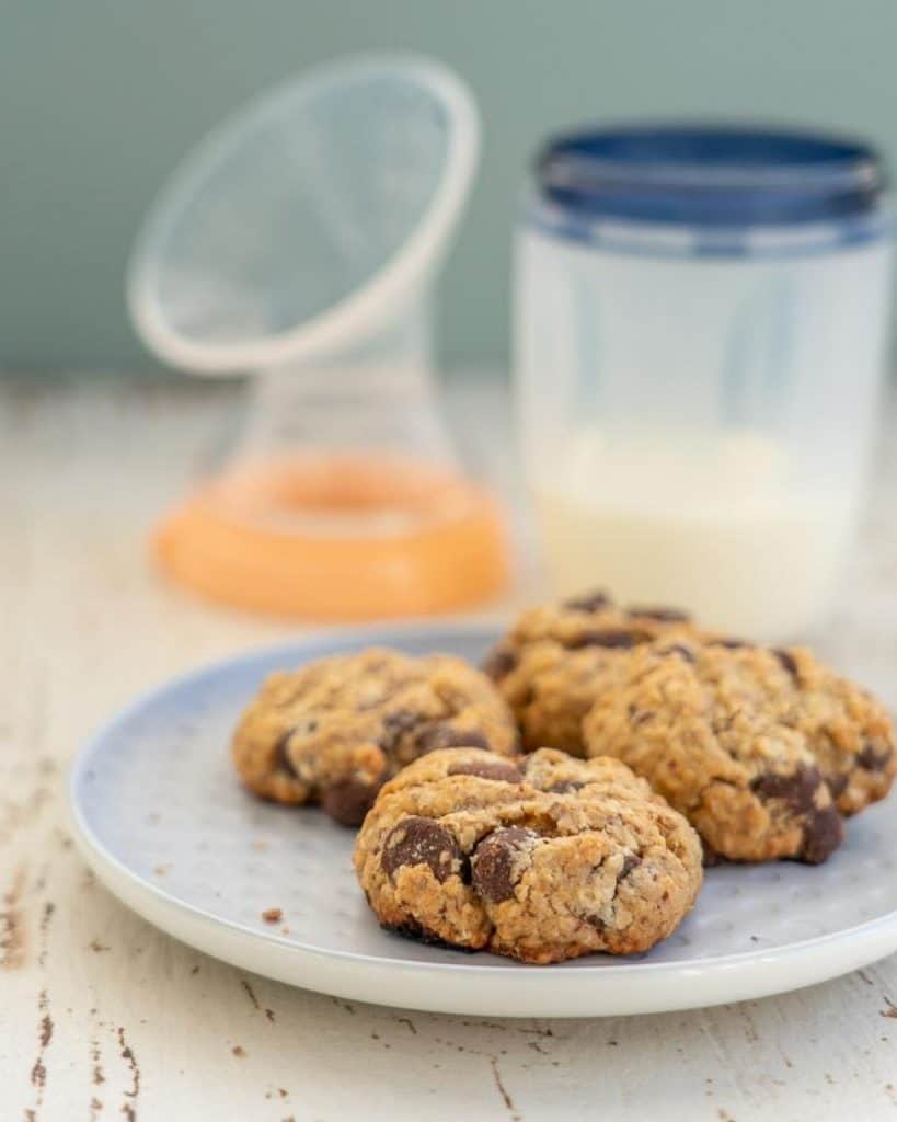 Best Lactation Cookies My Kids Lick The Bowl