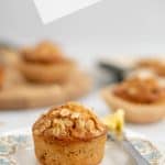oatmeal muffin on a blue floral plate with text overlay