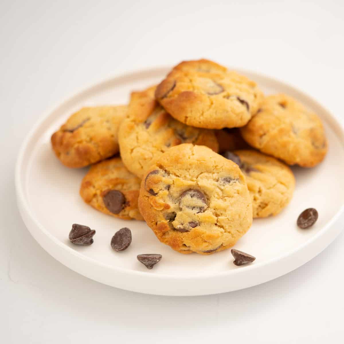 A plate of chocolate chip cookies.