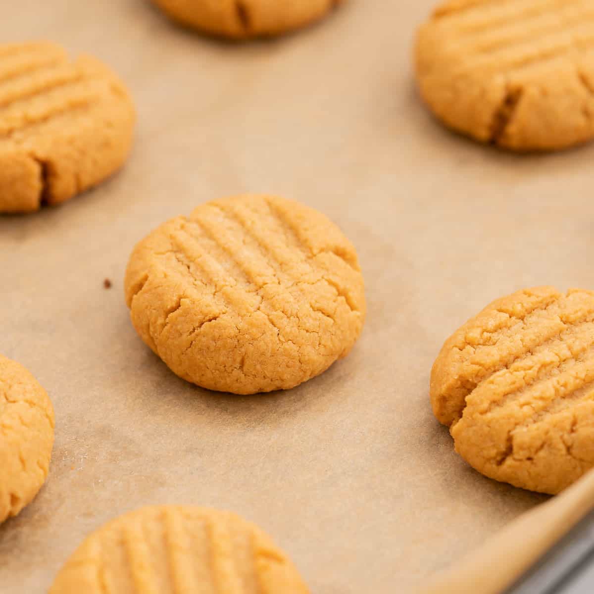 Baked cookies ready to come out of the oven on a baking paper lined tray.