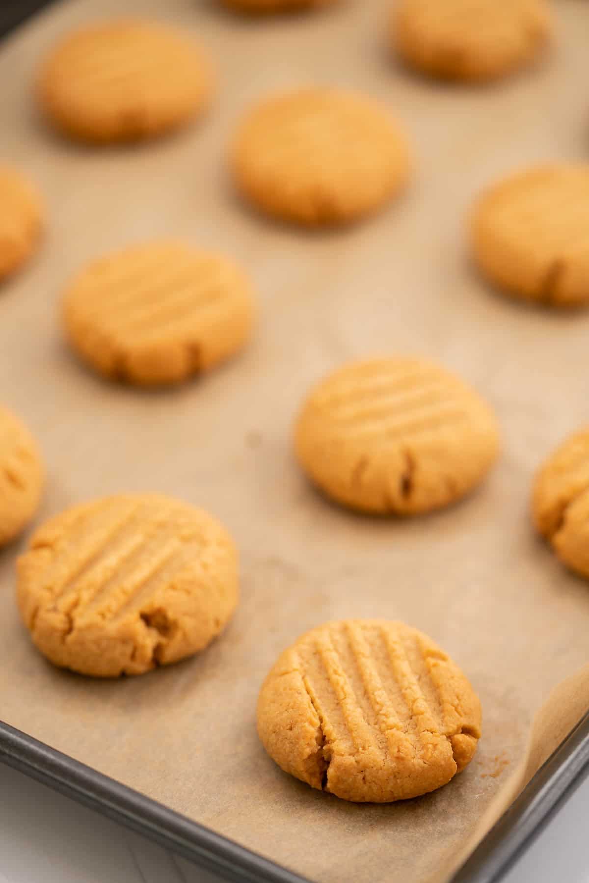 Baked cookies ready to come out of the oven on a baking paper lined tray.