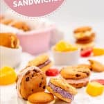 3 different flavoured ice cream cookie sandwiches with frozen fruit pieces.