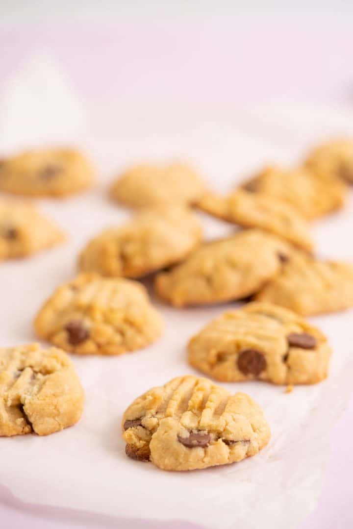 Gluten Free Vegan Cookies - My Kids Lick The Bowl