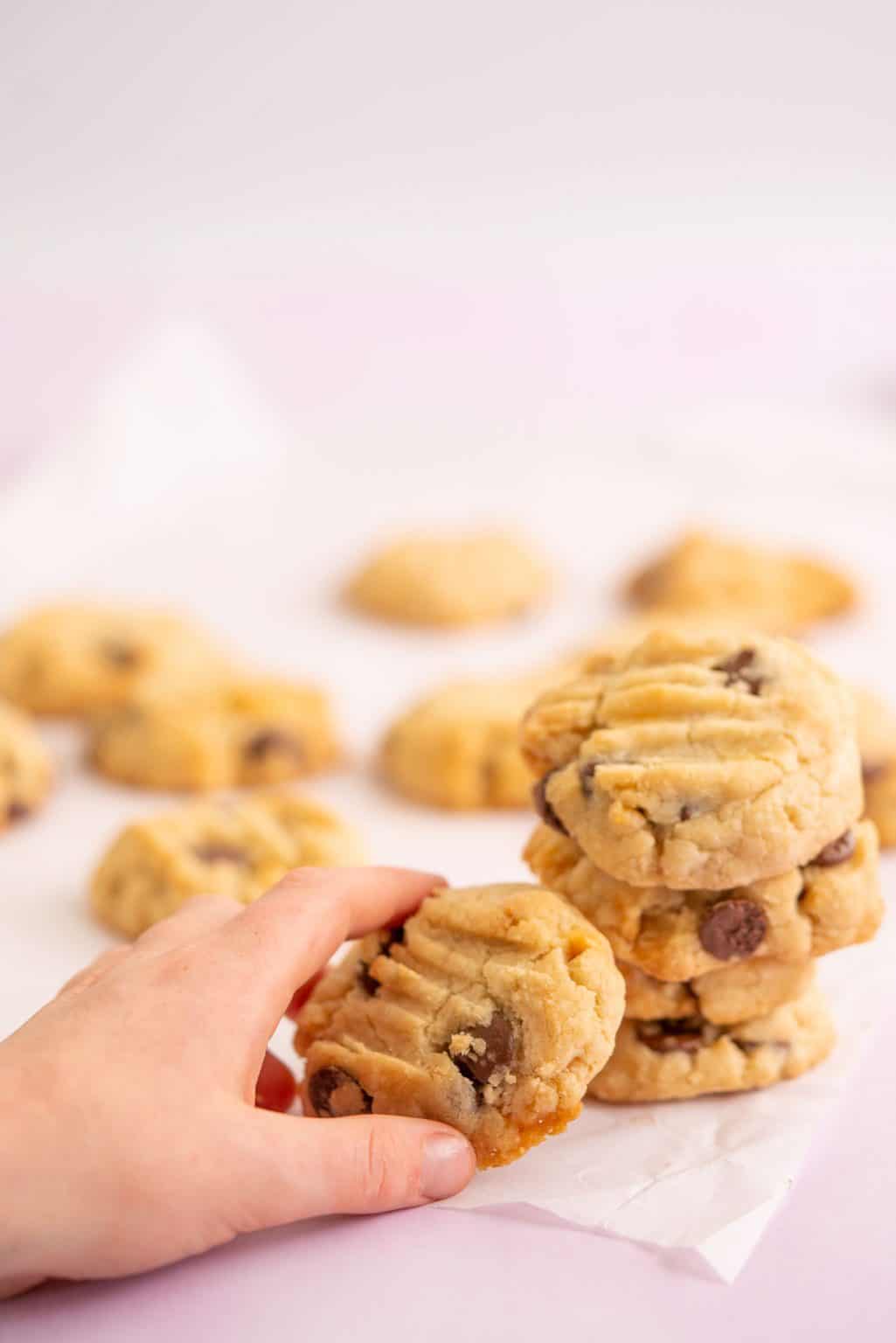 Gluten Free Vegan Cookies - My Kids Lick The Bowl