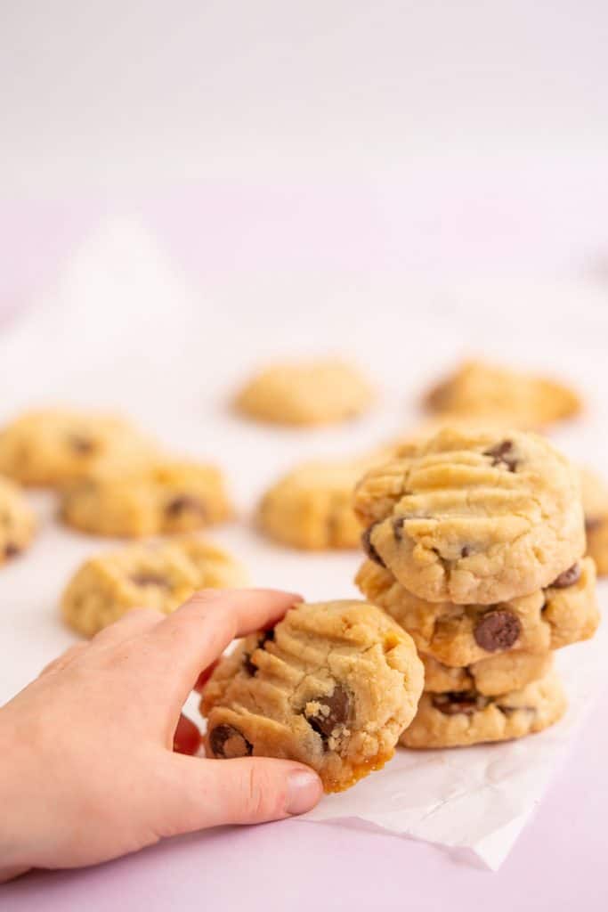 Gluten Free Vegan Cookies - My Kids Lick The Bowl