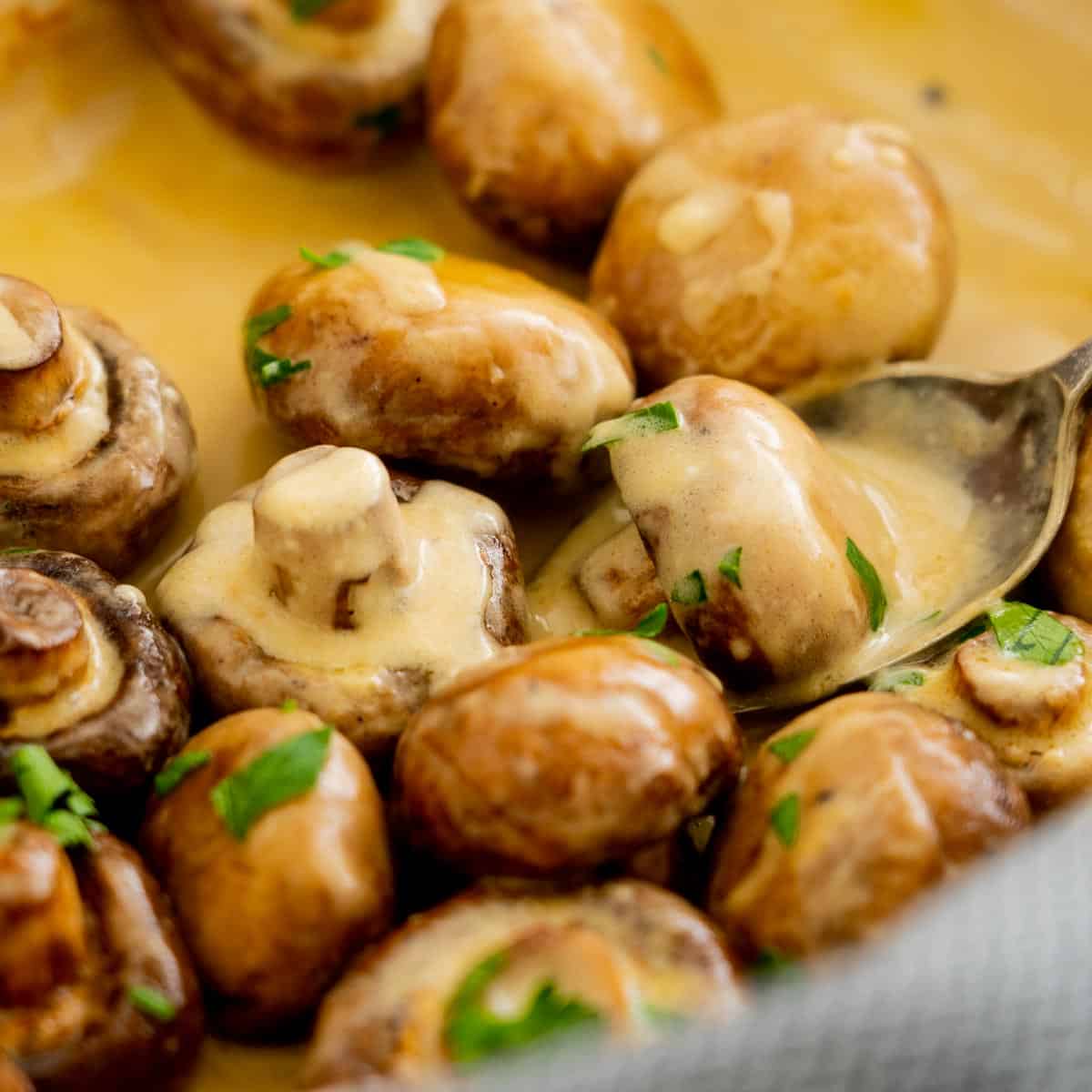 Mushrooms in a creamy sauce in a roasting dish.