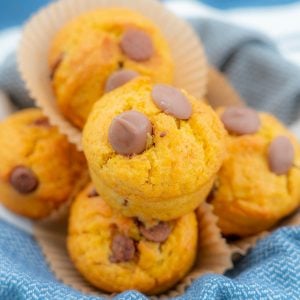 Pumpkin chocolate chip muffins in a bowl lined with blue cloth.