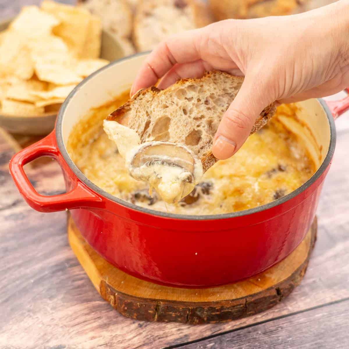 A hand scooping cheesy baked dip with a piece of sour dough bread, a mushroom visible in the dip.
