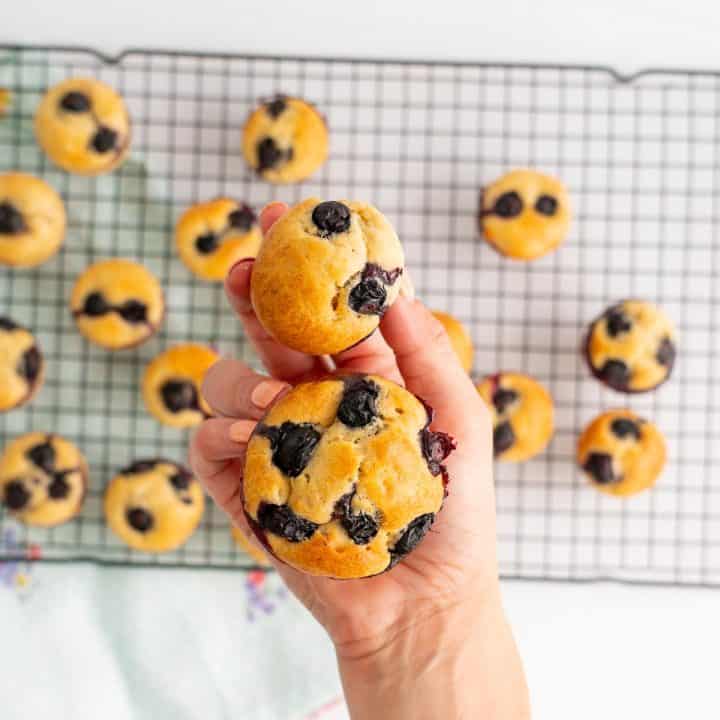 Easy Banana Blueberry Muffins (Baby Friendly) My Kids Lick The Bowl