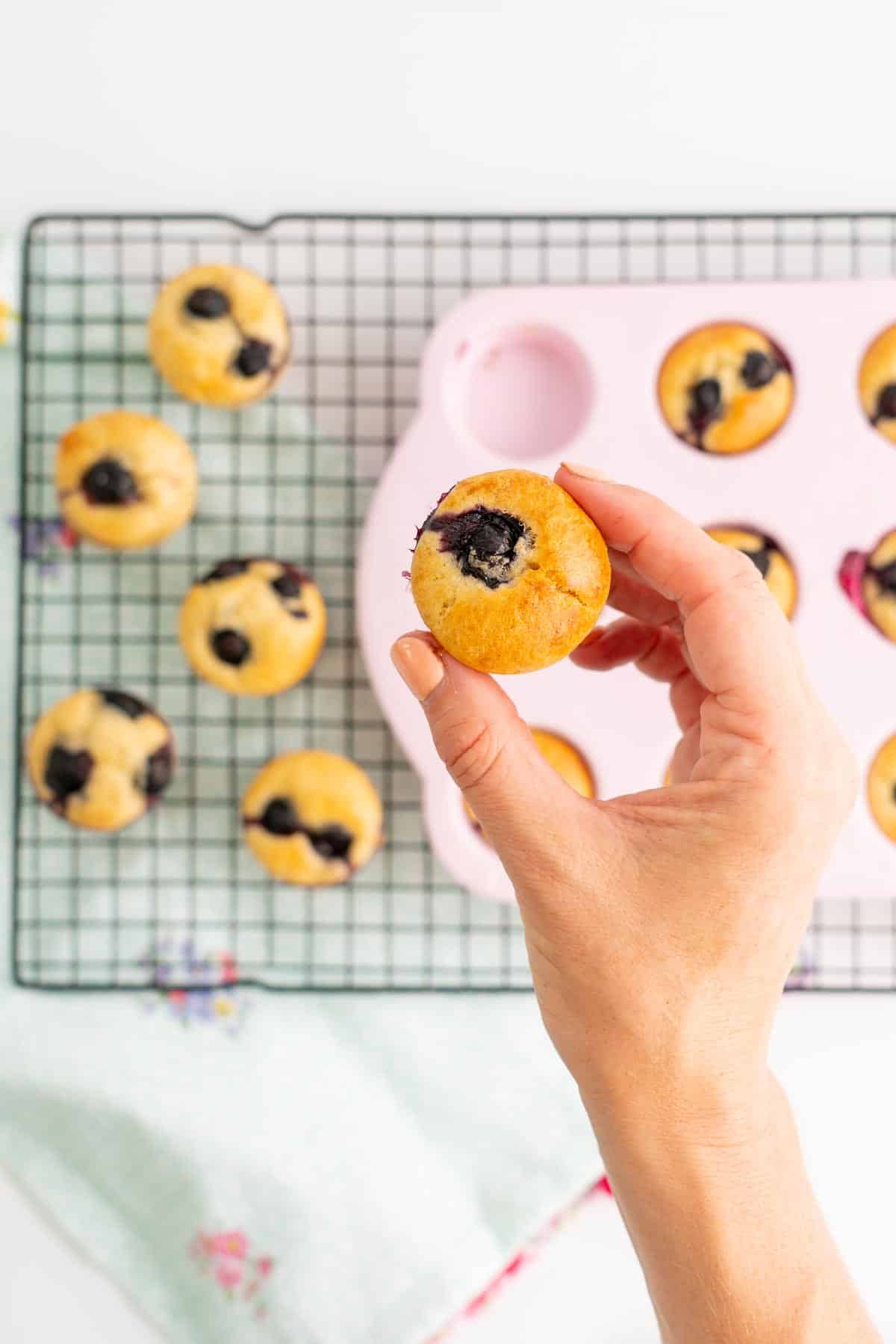 A mini muffin topped with a blueberry being held above a tray of cooked muffins.