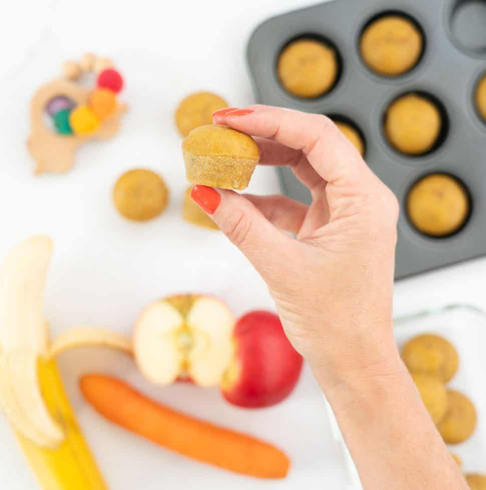 Healthy Baby Snacks - My Kids Lick The Bowl