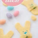 Easter bunny cookies on a white bench top scattered with sugared almond and text overlay.