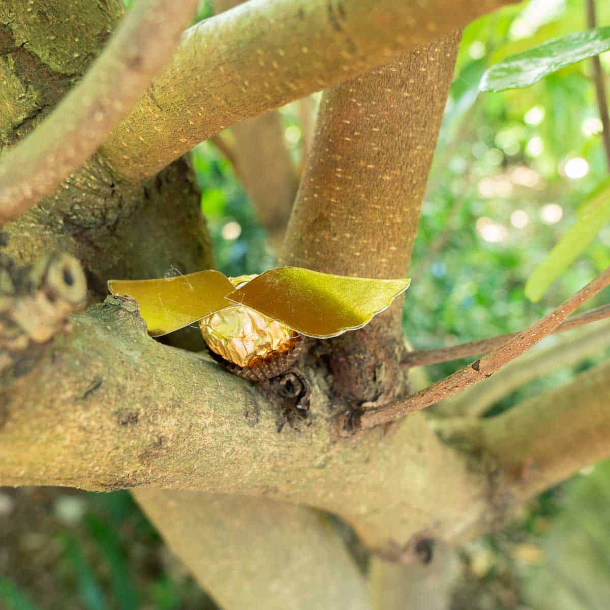 A ferrero rocher golden snitch hidden in a tree.