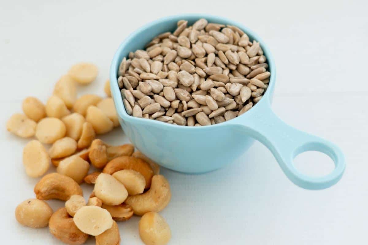 A blue measuring cup of sunflower seeds next to a selection of nuts.
