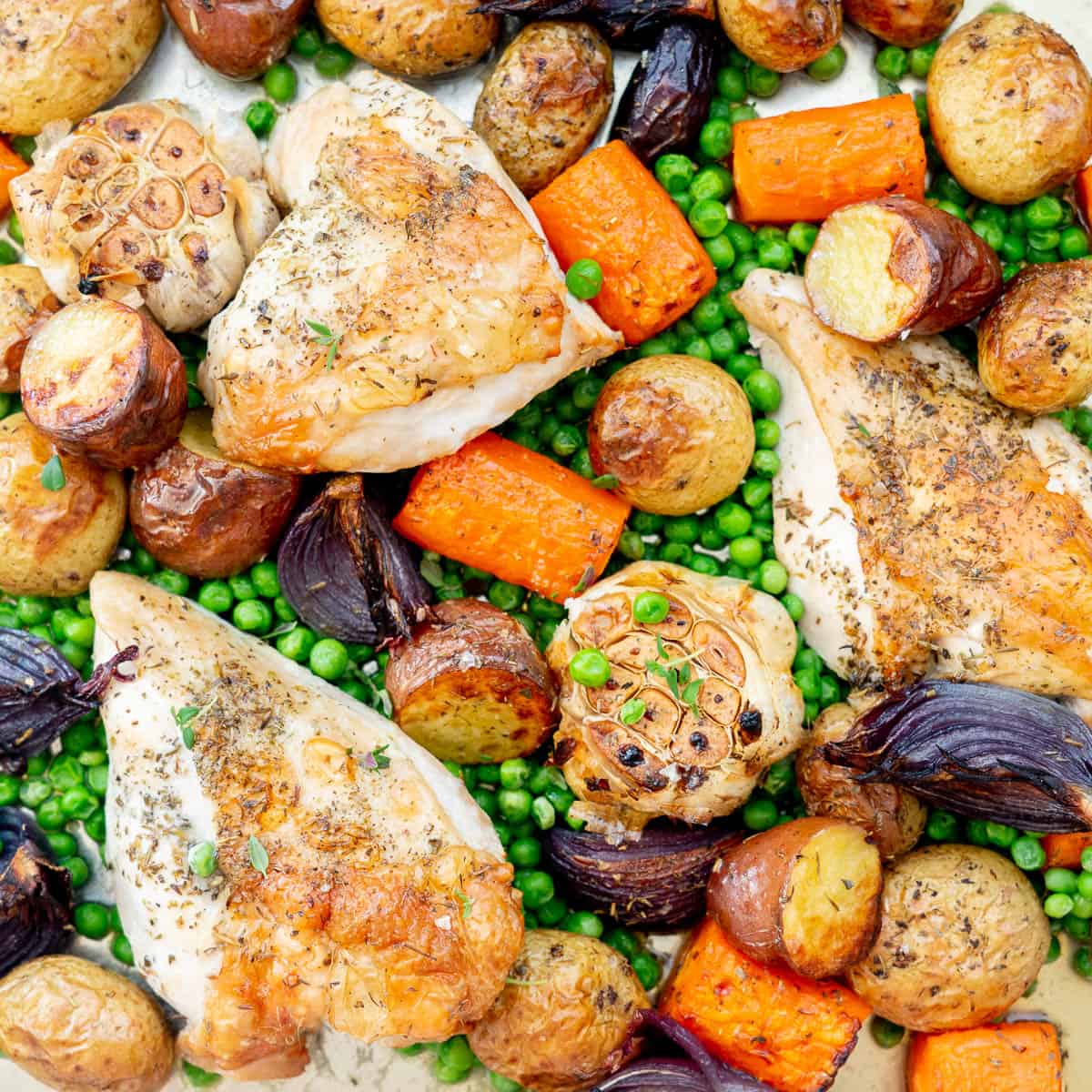 Roasted chicken breasts with crispy skin, roast vegetables and peas in a roasting tray.