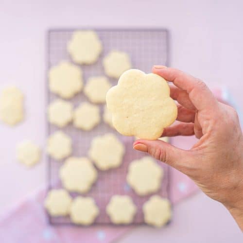 Gluten-Free Sugar Cookies - My Kids Lick The Bowl