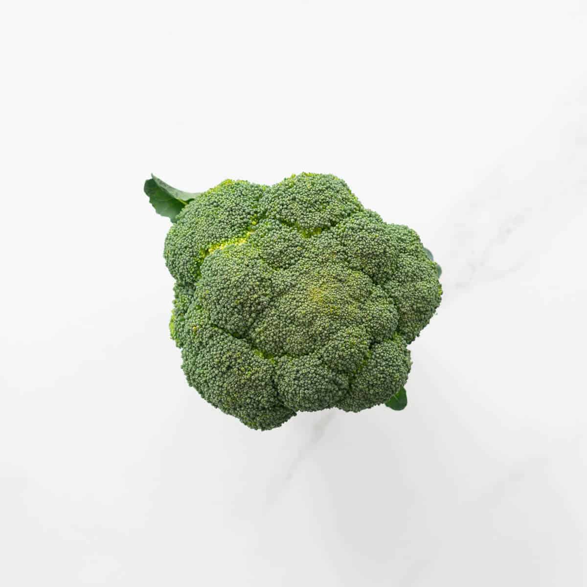 A head of broccoli.