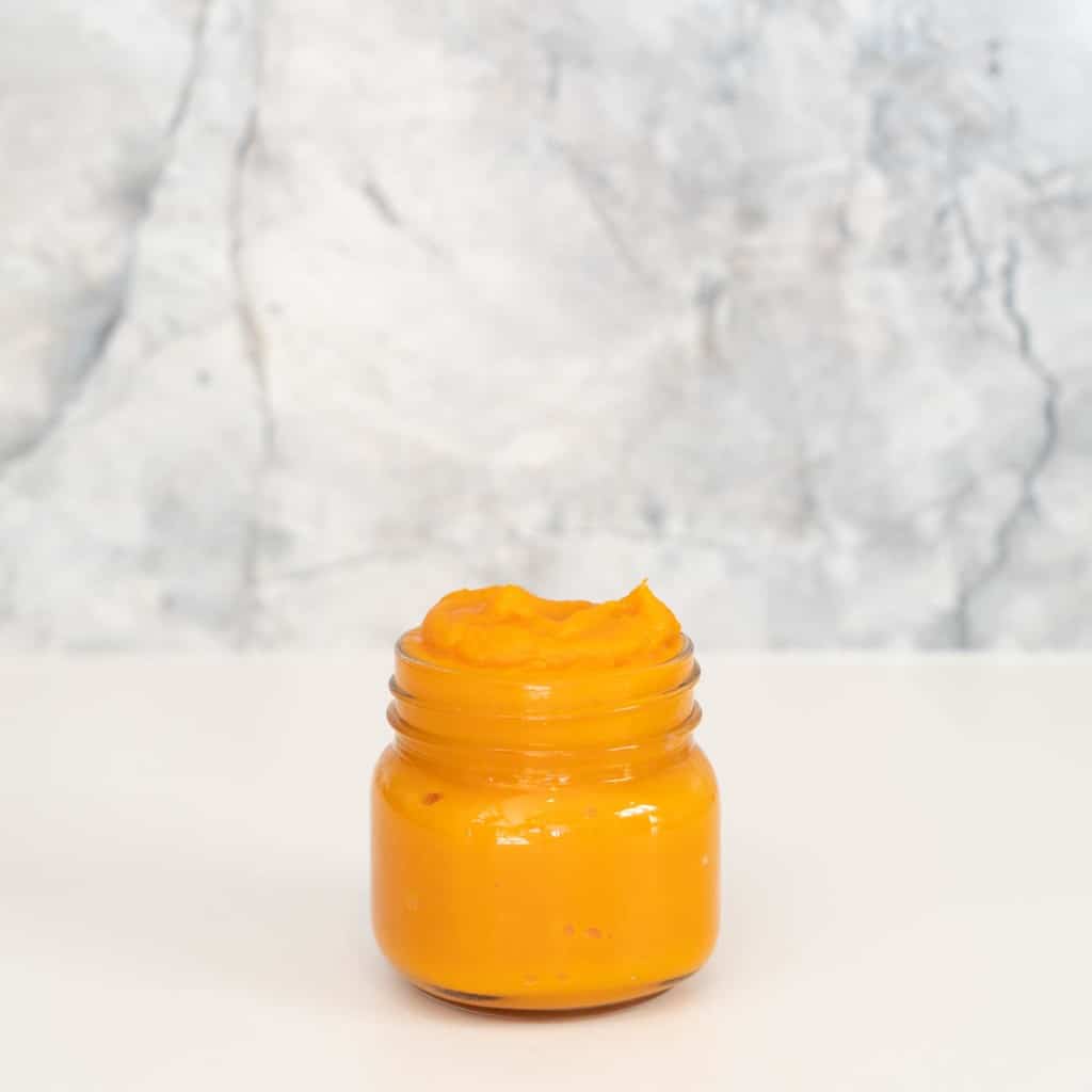 Butternut Squash Puree - My Kids Lick The Bowl