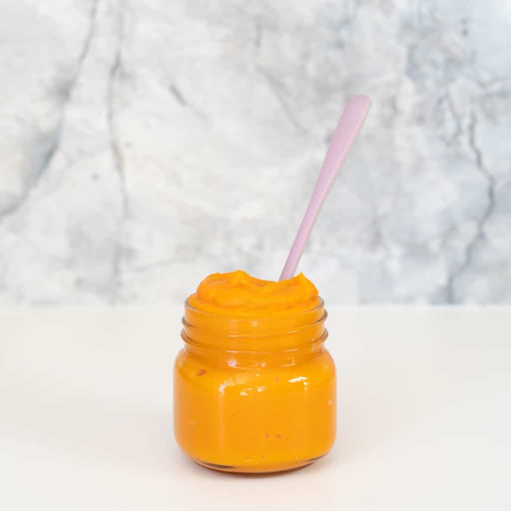 Butternut Squash Puree - My Kids Lick The Bowl