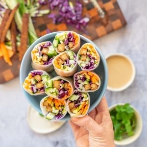 A plate full of rice paper rolls with there colourful vegetable fillings visible being held up to the camera