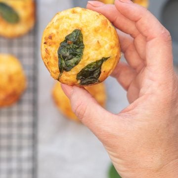 An egg muffin topped with spinach leaves being held up to the camera