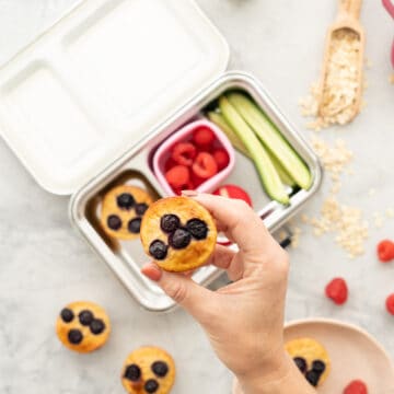 A blueberry topped muffin being held up above a filled stainless steel bento box, raspberries and rolled oats scattered on a bench top.