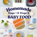A collage of 20 baby food purees made from colourful fruits and vegetables with text overlay: 'Homemade Stage 1 & Stage 2 Baby Food.