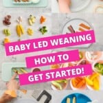 A collage of 8 images of baby plates with finger foods for baby led weaning with text over: "Baby Led Weaning How to get started".