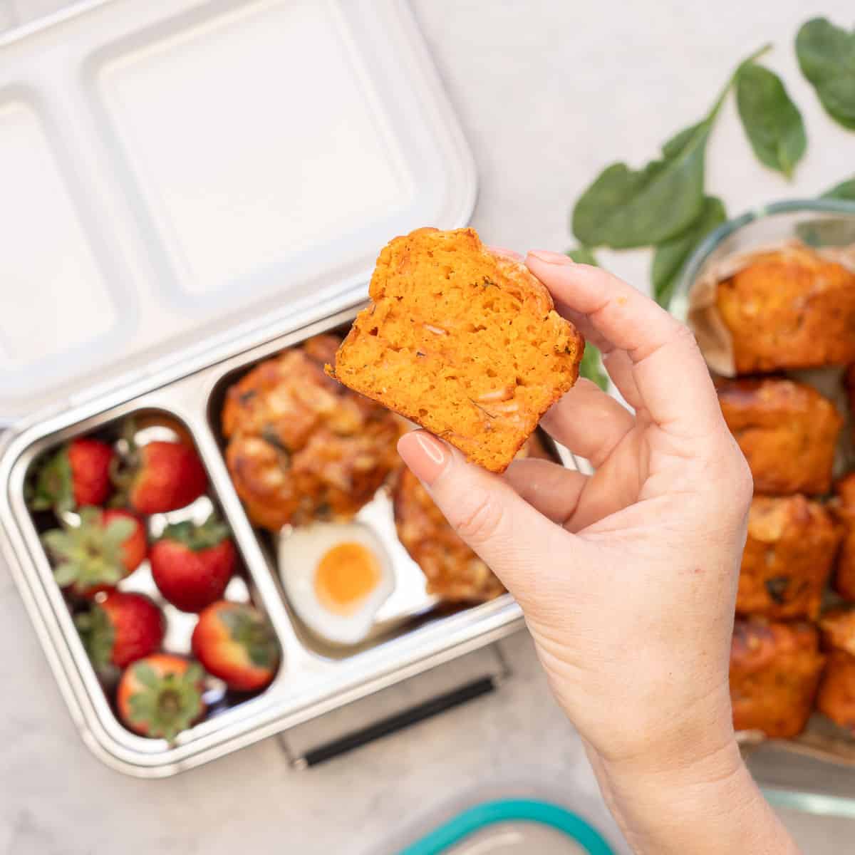 Half a pizza muffin held up by hand with lunchbox in background with pizza muffins and strawberries inside.