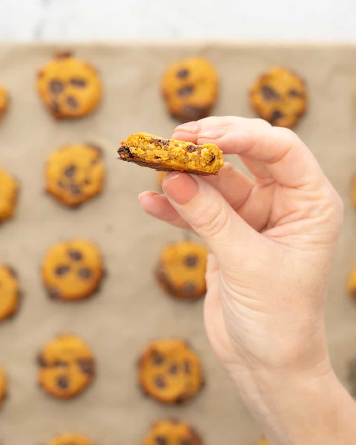 A hand holding up a pumpkin cookie with a bite taken out showing the inside, A baking tray of cooked cookies in background.